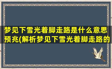 梦见下雪光着脚走路是什么意思 预兆(解析梦见下雪光着脚走路的预兆含义，提供详细解释。)